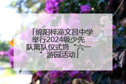 绵阳梓潼文昌中学举行2024级少先队离队仪式暨“六一”游园活动